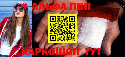 крисы Славгород
