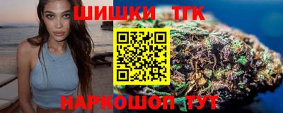 крисы Славгород