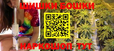 крисы Славгород