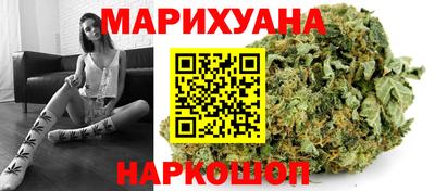 крисы Славгород