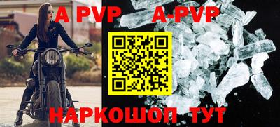 крисы Славгород