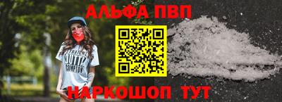 крисы Славгород