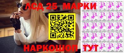 крисы Славгород