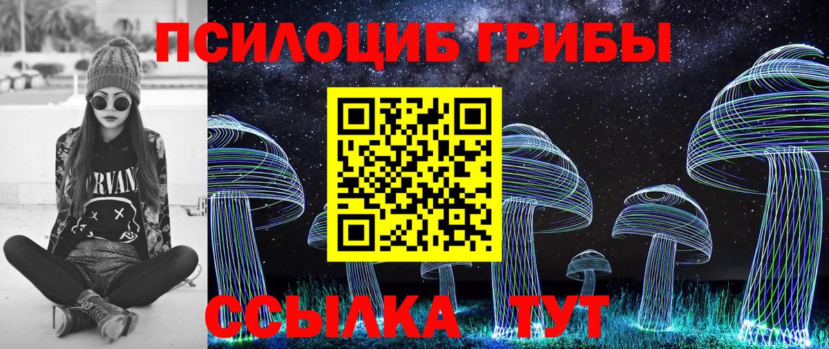 Псилоцибиновые грибы Psilocybe Нововоронеж